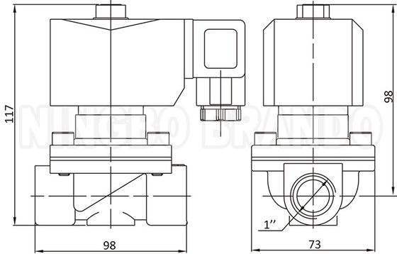 2W250-25 1'' 2 voies normalement fermées soupape solénoïde d'eau en laiton 24V 220V