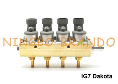 Type de RAIL corps en aluminium de cylindre de l'ohm 4 du rail 2 d'injecteur de Navajo d'IG7 Dakota pour LPG CNG